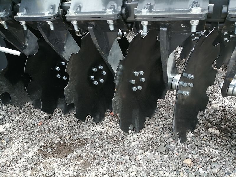 Kurzscheibenegge des Typs Lemken/Horsch Titanum 400, keine catros, keine joker, keine heliodor, Neumaschine in Freisen-Asweiler (Bild 2)
