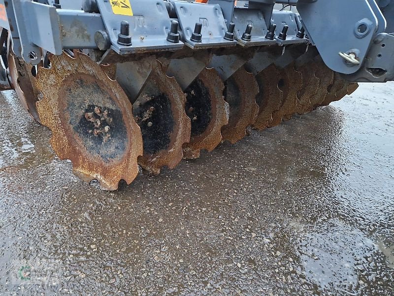 Kurzscheibenegge del tipo Mandam GAL-C 3,0, Gebrauchtmaschine en Rittersdorf (Imagen 9)