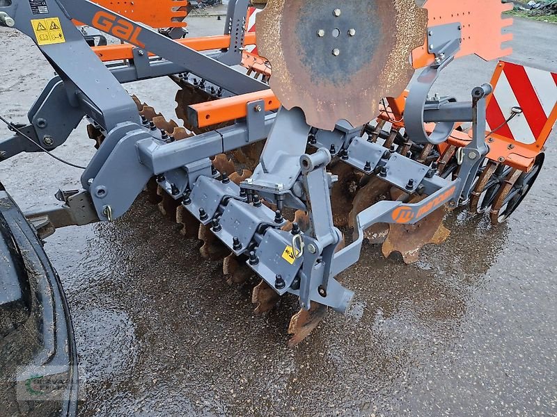 Kurzscheibenegge del tipo Mandam GAL-C 3,0, Gebrauchtmaschine en Rittersdorf (Imagen 11)