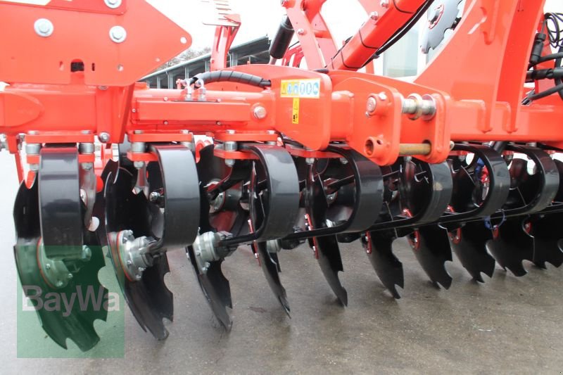 Kurzscheibenegge del tipo Maschio UFO 300, Gebrauchtmaschine In Straubing (Immagine 7)