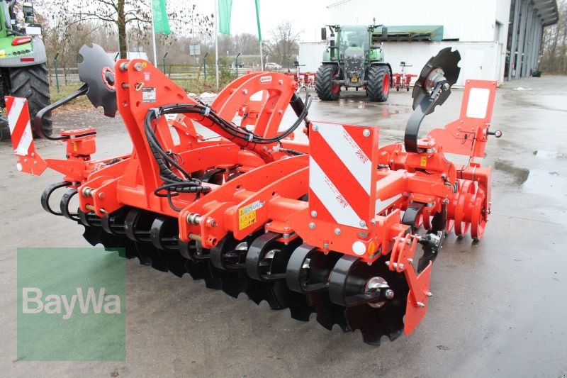 Kurzscheibenegge del tipo Maschio UFO 300, Gebrauchtmaschine In Straubing (Immagine 5)