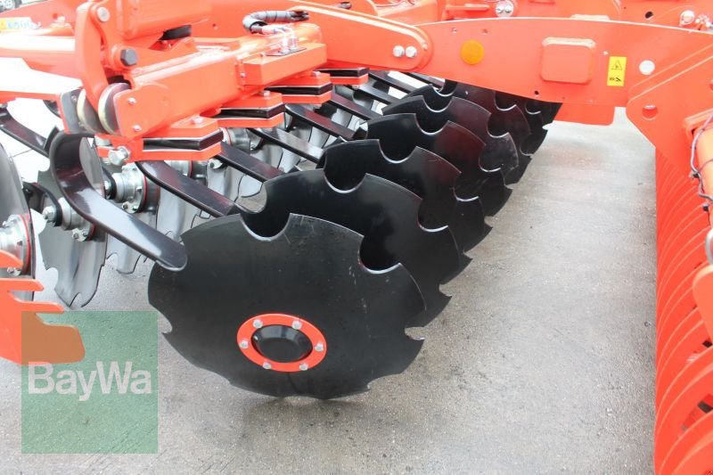 Kurzscheibenegge del tipo Maschio UFO 300, Gebrauchtmaschine In Straubing (Immagine 4)