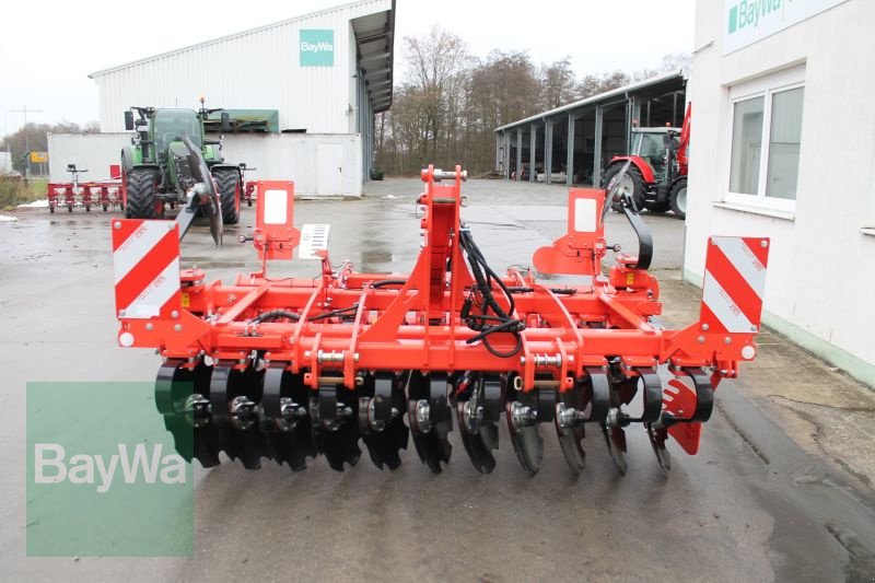 Kurzscheibenegge del tipo Maschio UFO 300, Gebrauchtmaschine In Straubing (Immagine 6)