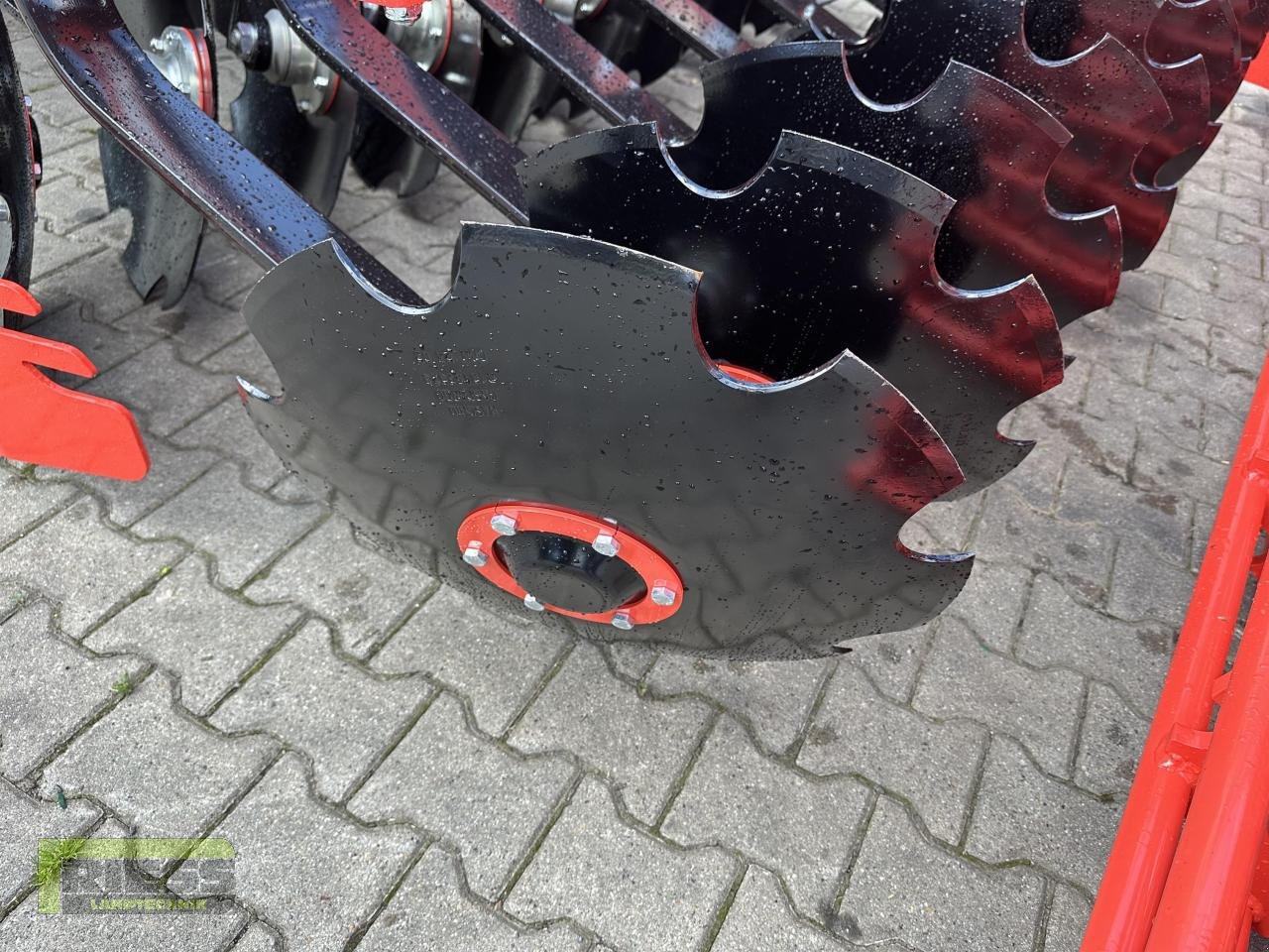 Kurzscheibenegge des Typs Maschio UFO 300, Neumaschine in Homberg/Ohm - Maulbach (Bild 7)