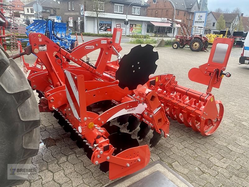 Kurzscheibenegge des Typs Maschio VELOCE 300 + Dachringwalze, Gebrauchtmaschine in Asendorf (Bild 4)