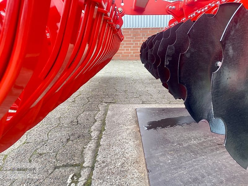 Kurzscheibenegge des Typs Maschio VELOCE 300 + Dachringwalze, Gebrauchtmaschine in Asendorf (Bild 10)