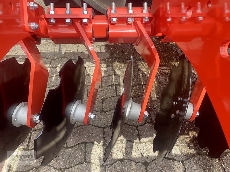 Kurzscheibenegge des Typs Maschio VELOCE 300 + Dachringwalze, Gebrauchtmaschine in Asendorf (Bild 16)