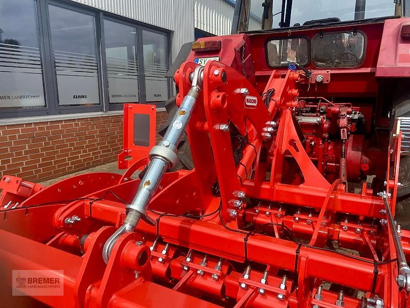 Kurzscheibenegge des Typs Maschio VELOCE 300 + Dachringwalze, Gebrauchtmaschine in Asendorf (Bild 13)