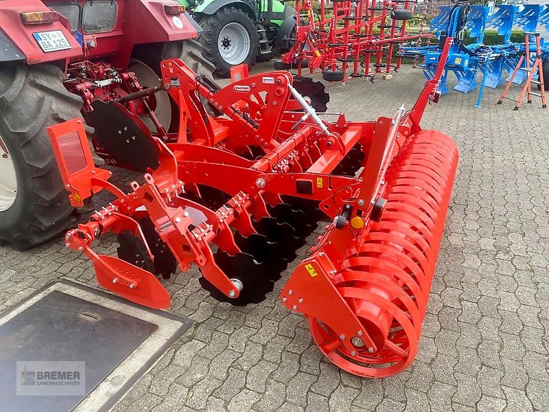 Kurzscheibenegge des Typs Maschio VELOCE 300 + Dachringwalze, Gebrauchtmaschine in Asendorf (Bild 3)
