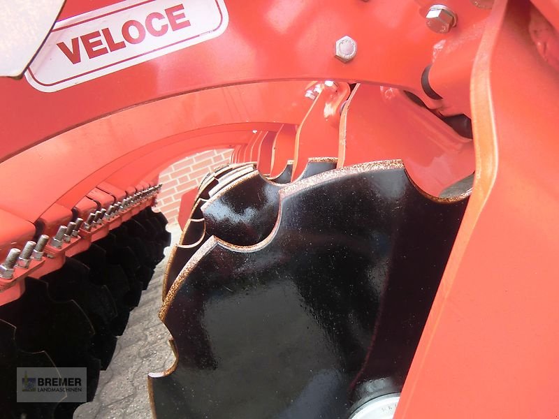 Kurzscheibenegge des Typs Maschio VELOCE 300 + U-Ringwalze 560, Gebrauchtmaschine in Asendorf (Bild 10)