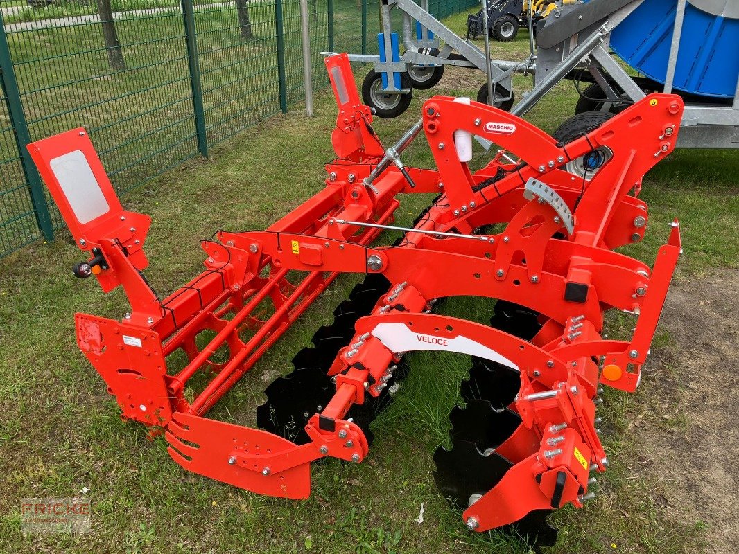 Kurzscheibenegge des Typs Maschio Veloce 300, Neumaschine in Bockel - Gyhum (Bild 4)