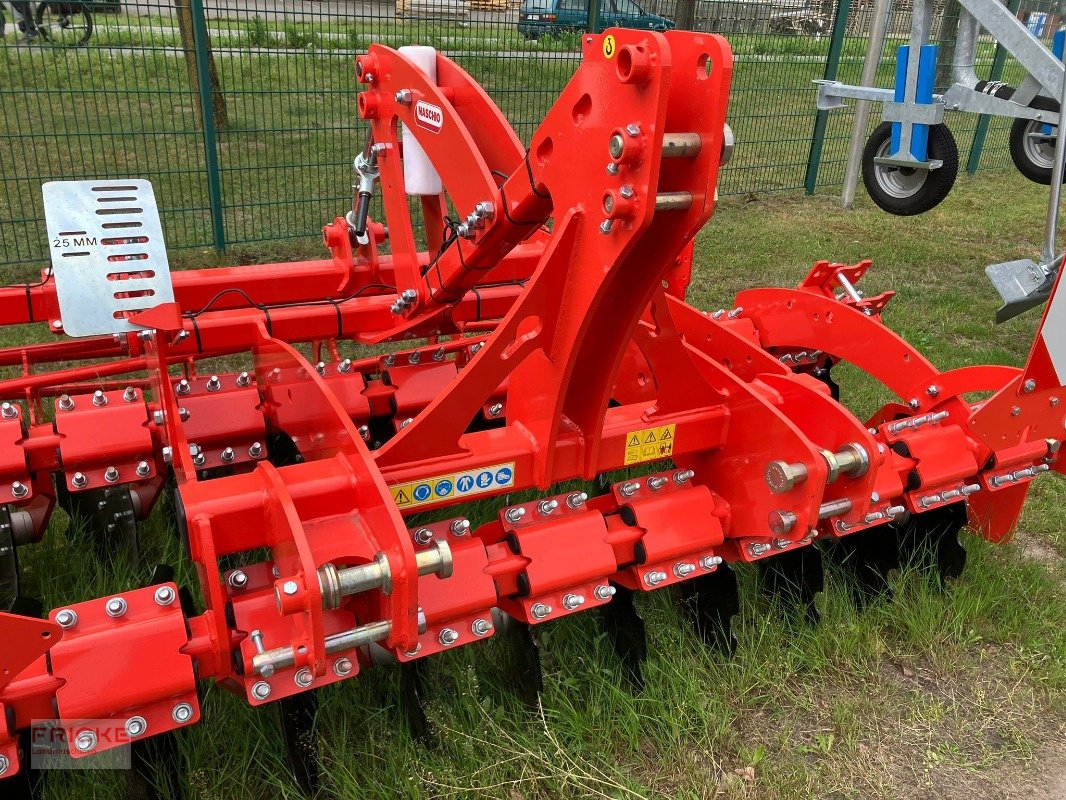 Kurzscheibenegge des Typs Maschio Veloce 300, Neumaschine in Bockel - Gyhum (Bild 7)