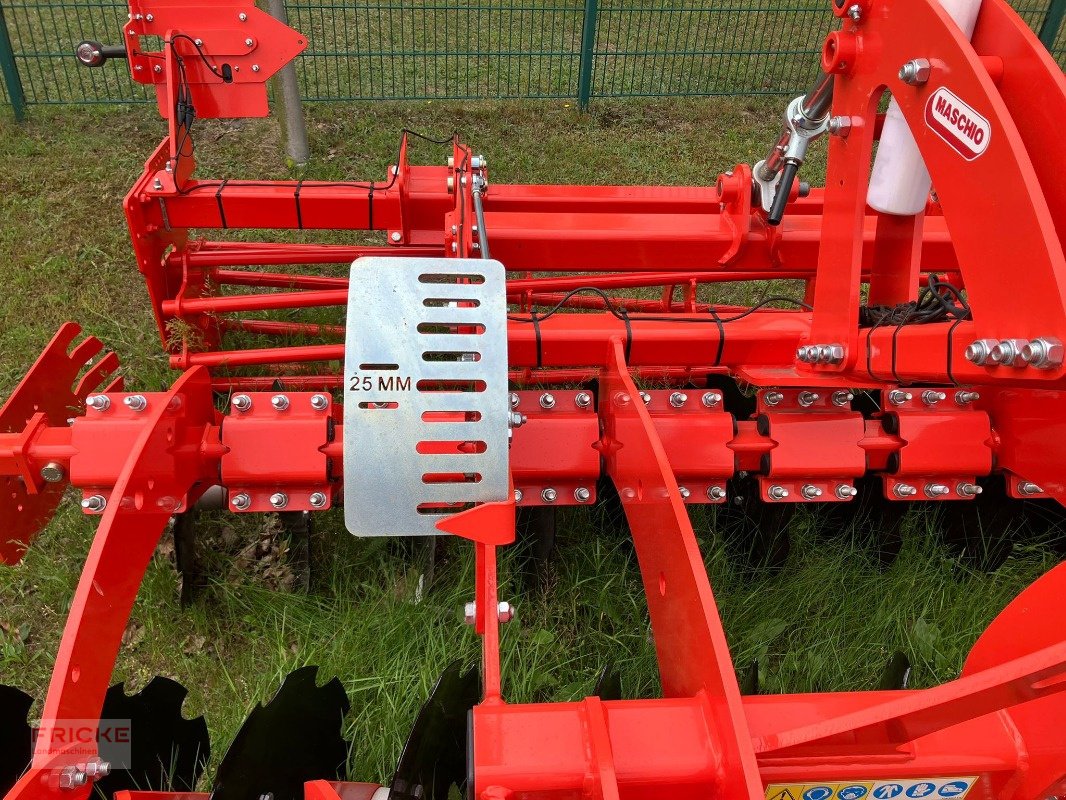 Kurzscheibenegge des Typs Maschio Veloce 300, Neumaschine in Bockel - Gyhum (Bild 9)