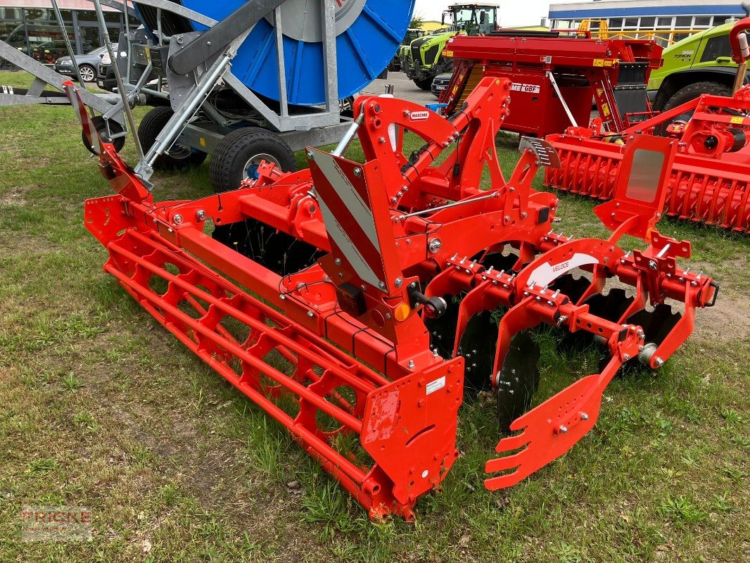 Kurzscheibenegge typu Maschio Veloce 300, Neumaschine v Bockel - Gyhum (Obrázek 2)