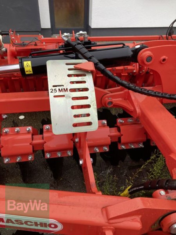 Kurzscheibenegge des Typs Maschio VELOCE 400 DR, Gebrauchtmaschine in Brackenheim (Bild 6)