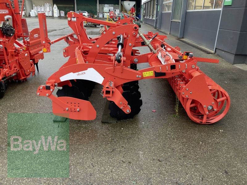 Kurzscheibenegge des Typs Maschio VELOCE 400 DR, Gebrauchtmaschine in Brackenheim (Bild 2)