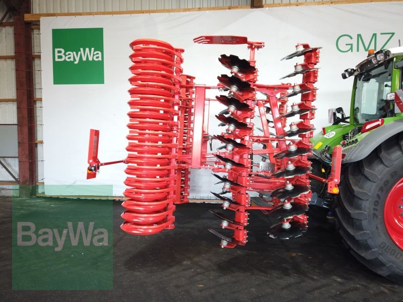 Kurzscheibenegge del tipo Maschio VELOCE 500  KURZSCHEIBENEGGE D, Gebrauchtmaschine en Erbach (Imagen 13)