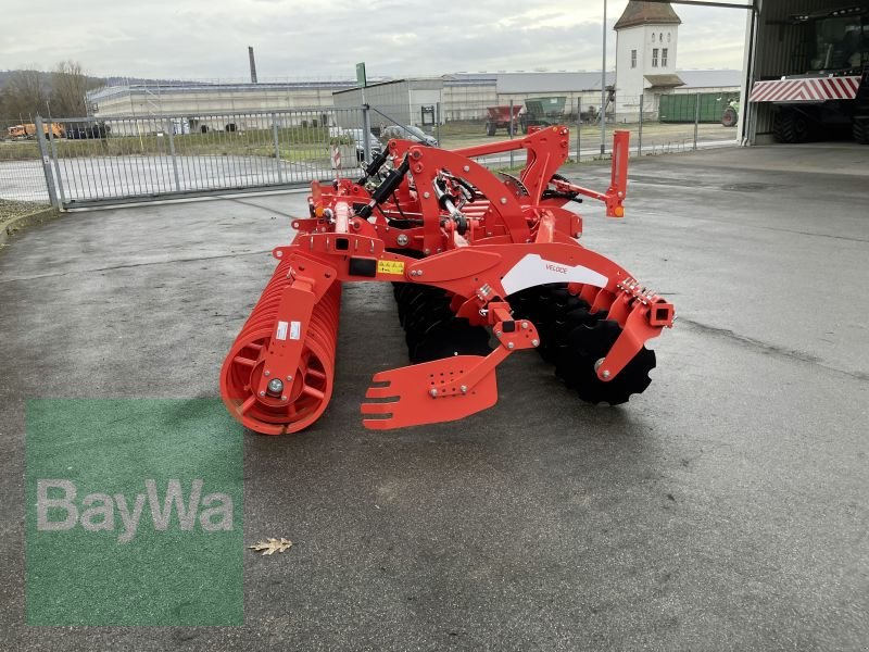 Kurzscheibenegge del tipo Maschio VELOCE 500, Gebrauchtmaschine In Bamberg (Immagine 4)