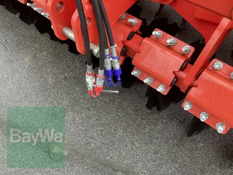 Kurzscheibenegge del tipo Maschio VELOCE 500, Gebrauchtmaschine In Bamberg (Immagine 8)