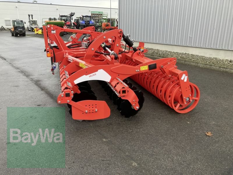 Kurzscheibenegge del tipo Maschio VELOCE 500, Gebrauchtmaschine In Bamberg (Immagine 2)