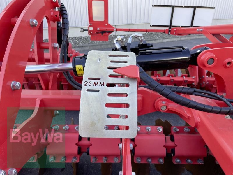 Kurzscheibenegge des Typs Maschio VELOCE 500, Gebrauchtmaschine in Bamberg (Bild 7)