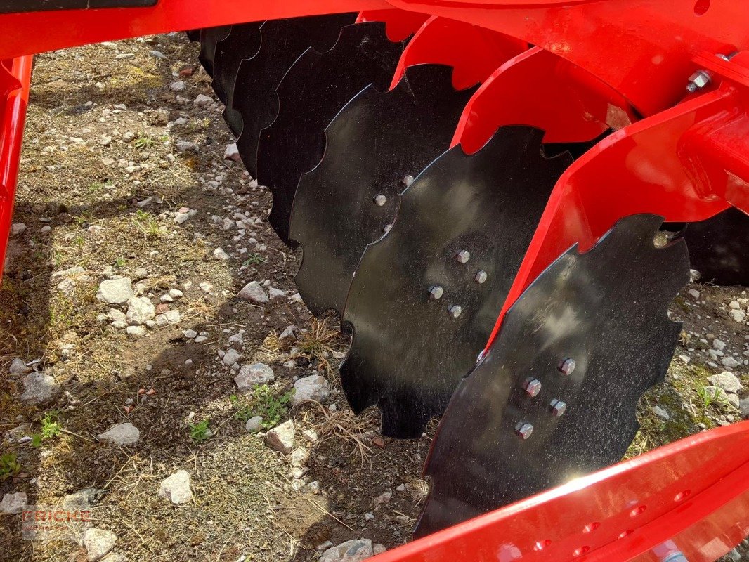 Kurzscheibenegge des Typs Maschio Veloce 500, Neumaschine in Bockel - Gyhum (Bild 3)