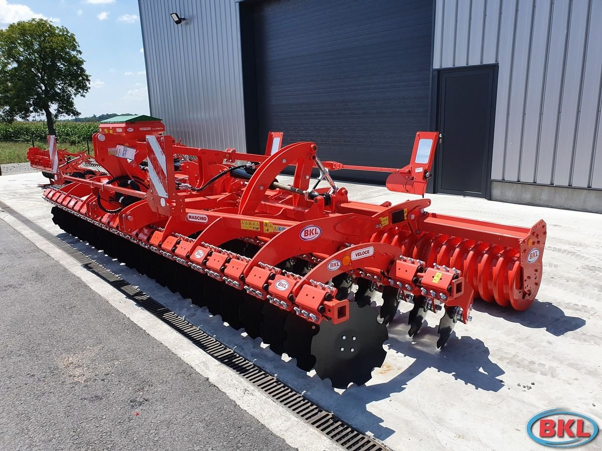 Kurzscheibenegge Türe ait Maschio Veloce 600 F, Neumaschine içinde Rovisce (resim 6)