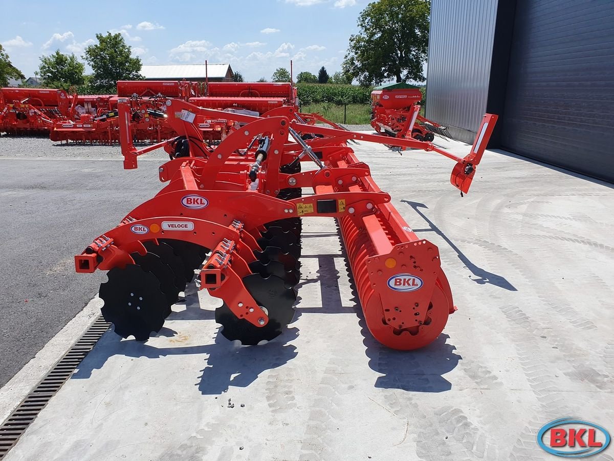 Kurzscheibenegge Türe ait Maschio Veloce 600 F, Neumaschine içinde Rovisce (resim 5)