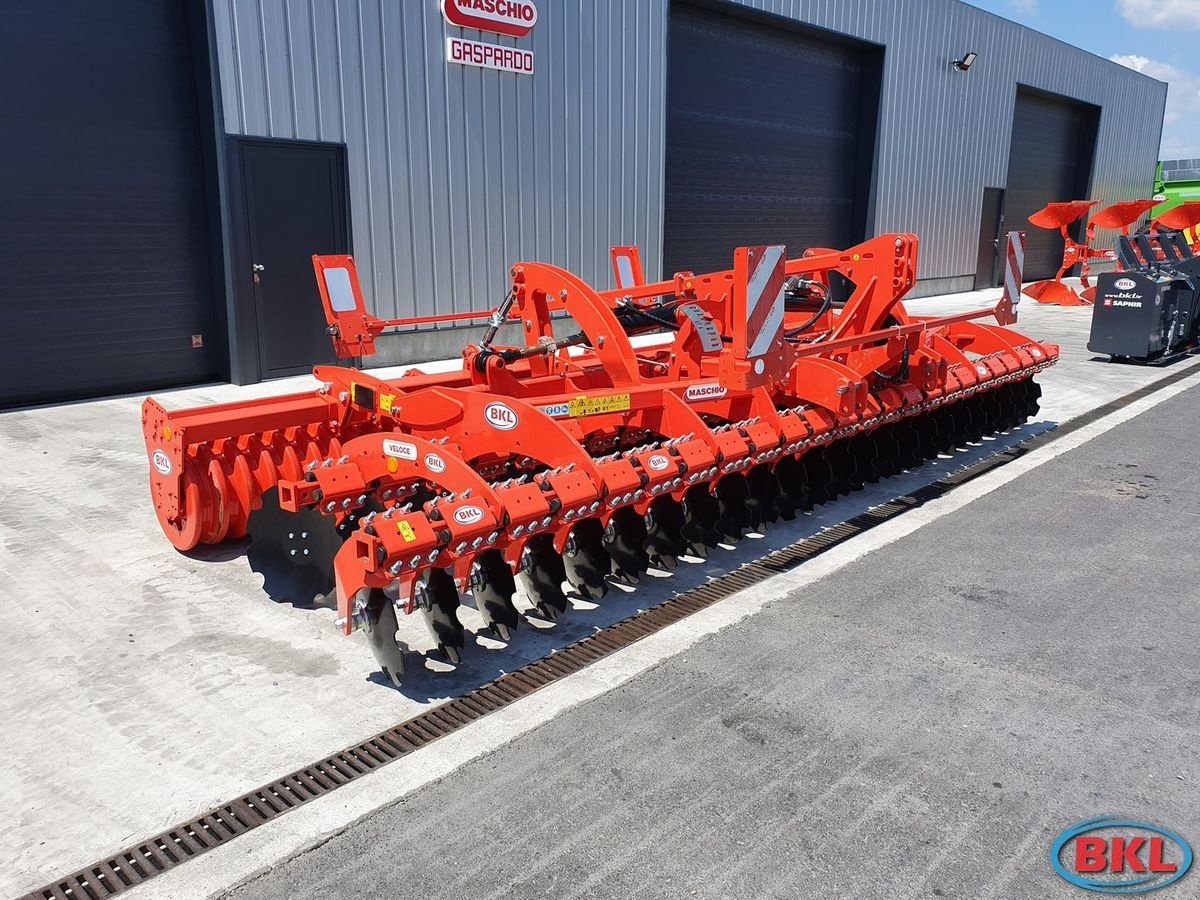 Kurzscheibenegge Türe ait Maschio Veloce 600 F, Neumaschine içinde Rovisce (resim 1)