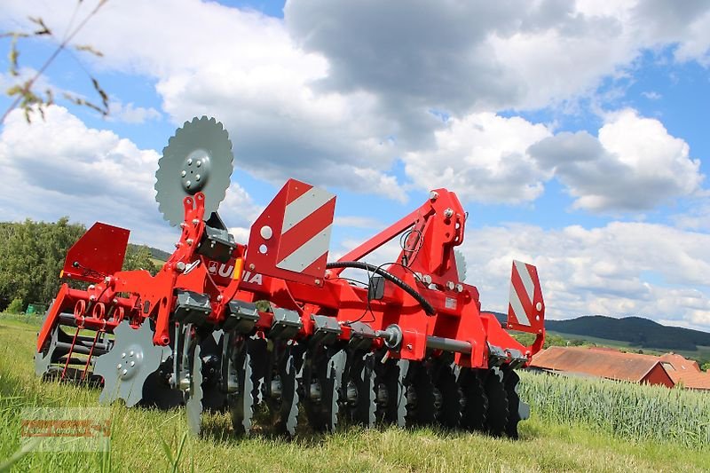 Kurzscheibenegge des Typs Unia Ares XL 3 Kurzscheibenegge Rohrstabwalze 3 m, Neumaschine in Ostheim/Rhön (Bild 4)