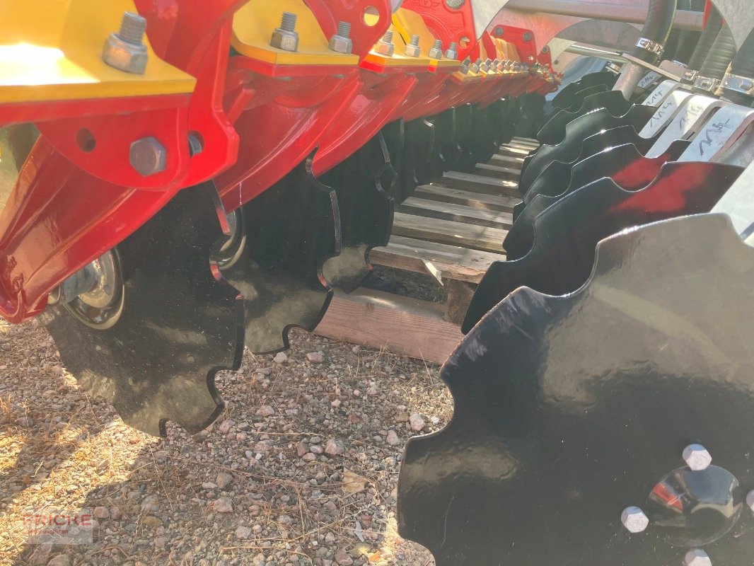 Kurzscheibenegge tip Väderstad Carrier X 525, Neumaschine in Bockel - Gyhum (Poză 5)