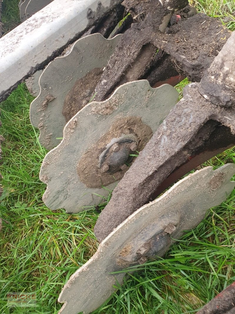 Kurzscheibenegge типа Väderstad CRX 625 mit APV PS 500 Streuer **Jahresendralley**, Gebrauchtmaschine в Bockel - Gyhum (Фотография 5)