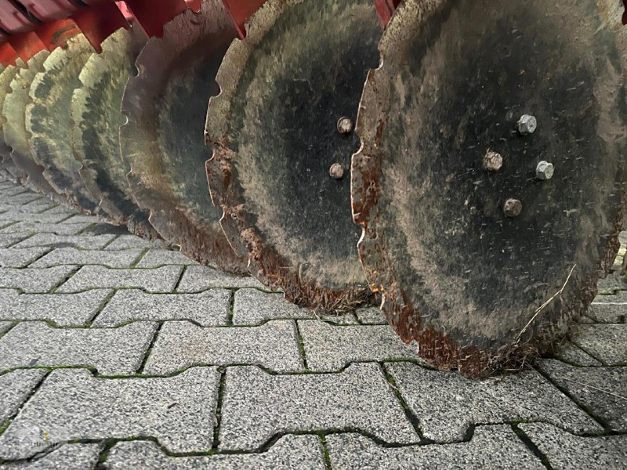 Kurzscheibenegge des Typs Vogel & Noot Terra Disc 300, Gebrauchtmaschine in Neuhof - Dorfborn (Bild 6)