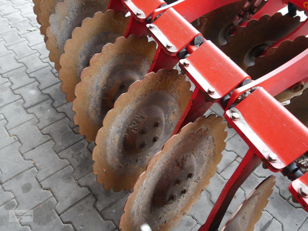 Kurzscheibenegge типа Ziegler Disc Master Pro 3001, Gebrauchtmaschine в Borken (Фотография 7)