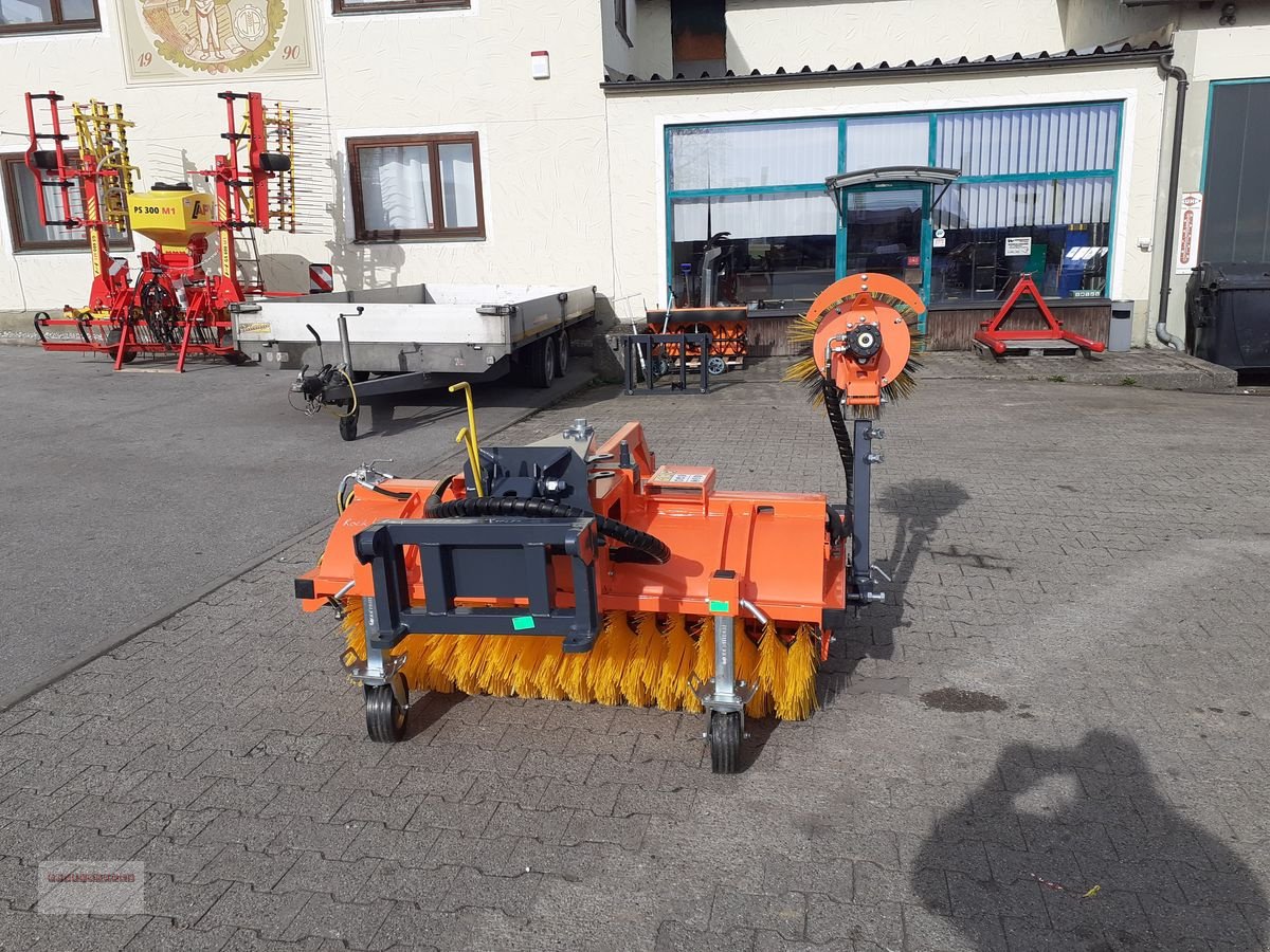 Ladeschaufel des Typs Dominator Profi Clean Kehrmaschine FRÜHJAHRAKTION, Gebrauchtmaschine in Tarsdorf (Bild 17)