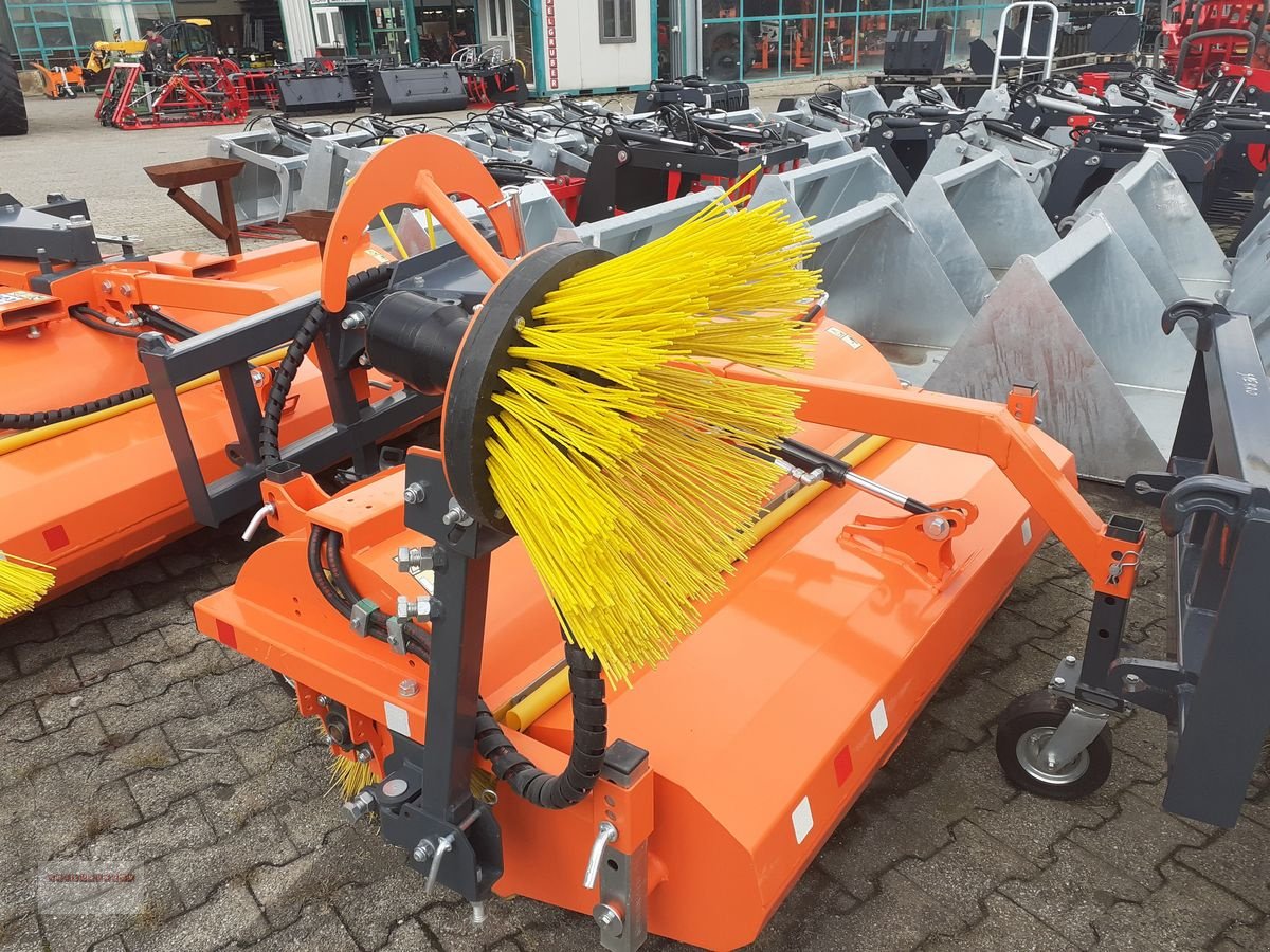 Ladeschaufel des Typs Dominator Profi Clean Kehrmaschine Frühjahrsaktion, Gebrauchtmaschine in Tarsdorf (Bild 14)