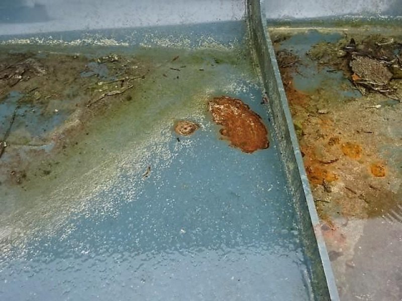 Ladeschaufel tip Euro Frontladerschaufeln Modell S-  2,4 Meter -Euro SW- Sonderpreise, Neumaschine in Neureichenau (Poză 9)