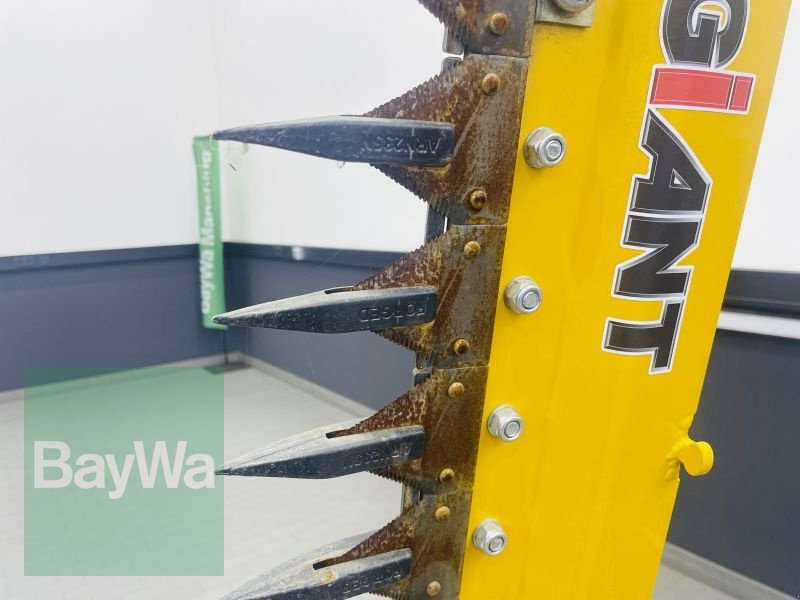 Ladeschaufel del tipo GiANT Heckenschere hydr. HK15, Gebrauchtmaschine In Manching (Immagine 8)