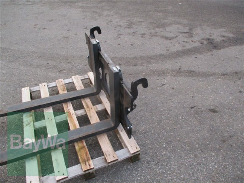 Ladeschaufel a típus GiANT PALETTENGABEL EURO 120 C #814, Vorführmaschine ekkor: Schönau b.Tuntenhausen (Kép 7)