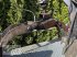 Ladeschaufel tip Sonstige Beha Holzzange mit Rotator, Gebrauchtmaschine in Burgkirchen (Poză 3)