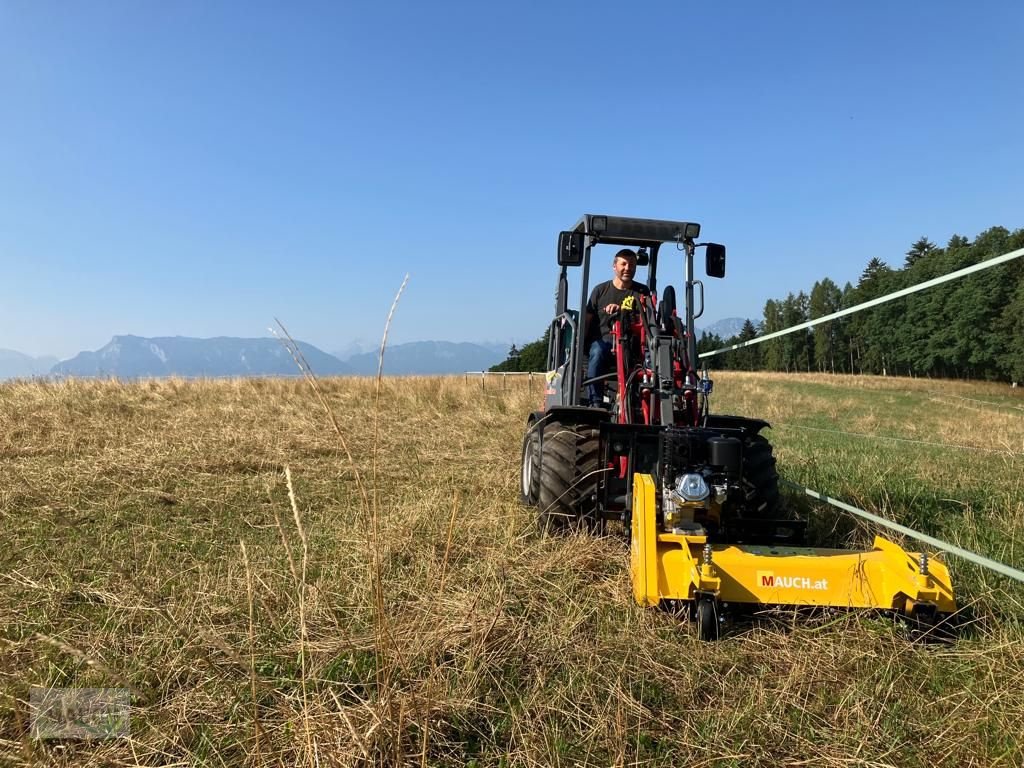 Ladeschaufel des Typs Sonstige Mauch Hoftrac-Mulcher für kleine Hoflader, Neumaschine in Burgkirchen (Bild 10)
