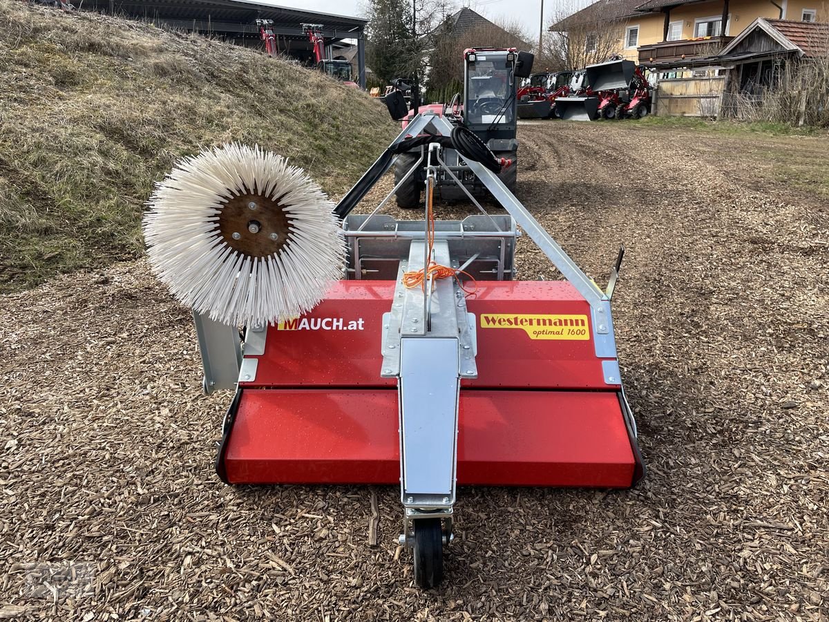 Ladeschaufel des Typs Westermann Kehrmaschine Optimal 1600mm, Neumaschine in Burgkirchen (Bild 1)