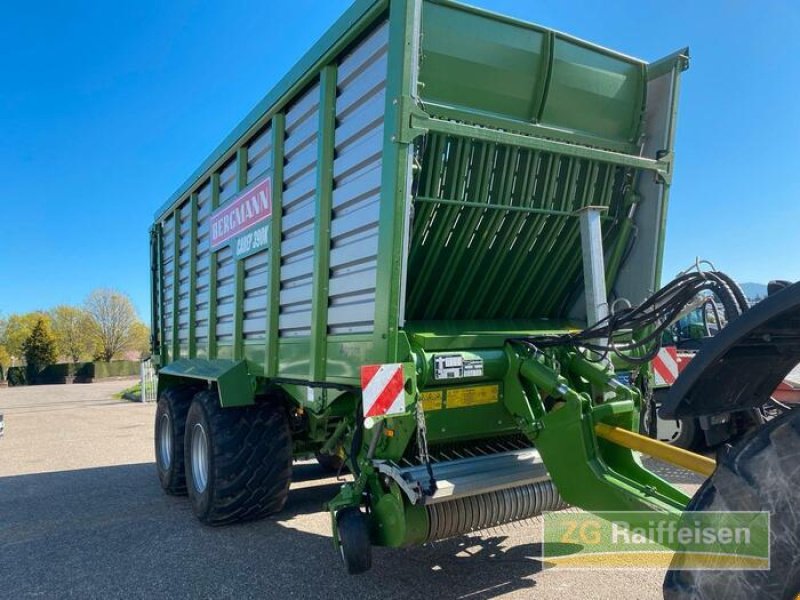 Ladewagen typu Bergmann L. CAREX390K, Gebrauchtmaschine v Bühl (Obrázek 5)