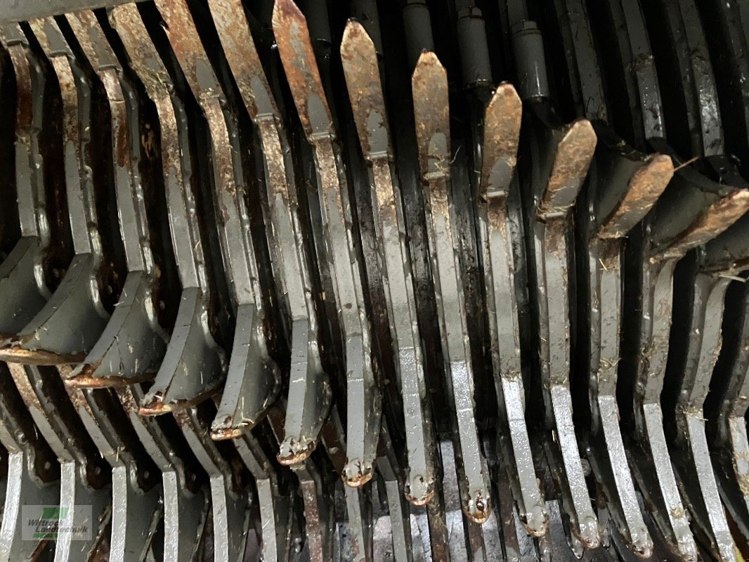 Ladewagen typu CLAAS Cargos 8500 Tridem, Gebrauchtmaschine v Rhede / Brual (Obrázek 14)