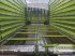 Ladewagen del tipo CLAAS QUANTUM 3500 P, Gebrauchtmaschine en Meschede (Imagen 5)