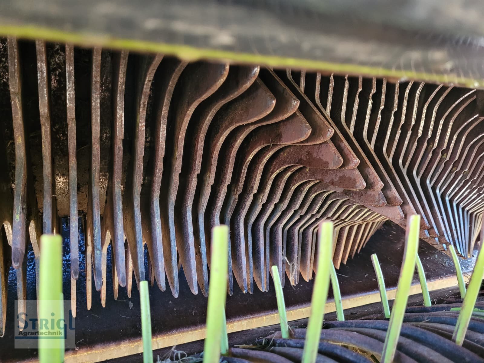 Ladewagen от тип CLAAS Quantum 5500 P, Gebrauchtmaschine в Moosbach (Снимка 18)