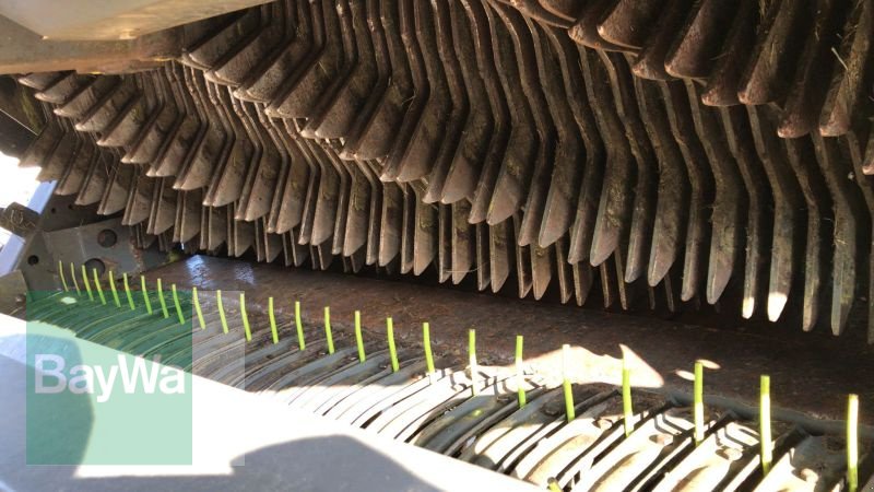 Ladewagen типа CLAAS QUANTUM 5500 P, Gebrauchtmaschine в Mindelheim (Фотография 15)