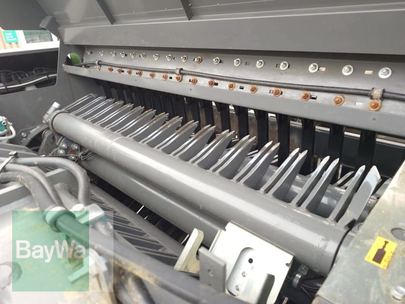 Ladewagen of the type Fendt TIGO 70 MS, Gebrauchtmaschine in Mindelheim (Picture 15)