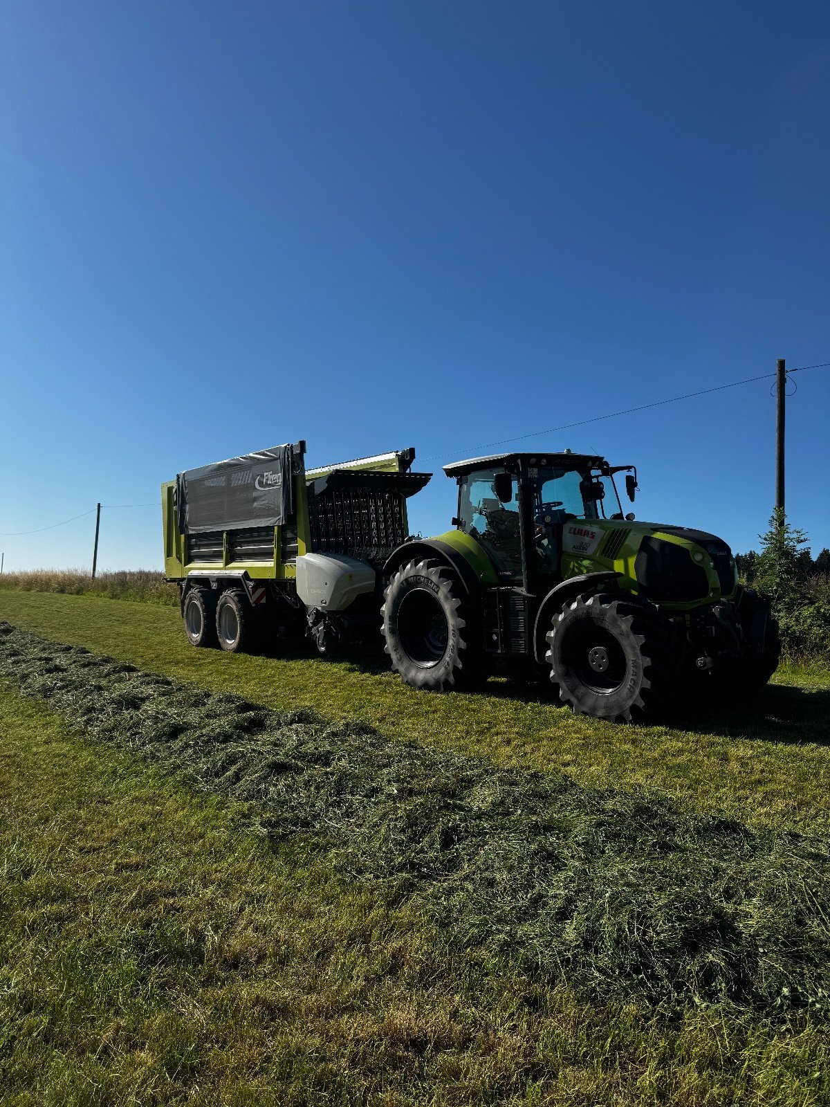 Ladewagen Türe ait Fliegl Cargos 8400, Gebrauchtmaschine içinde Eching (resim 4)