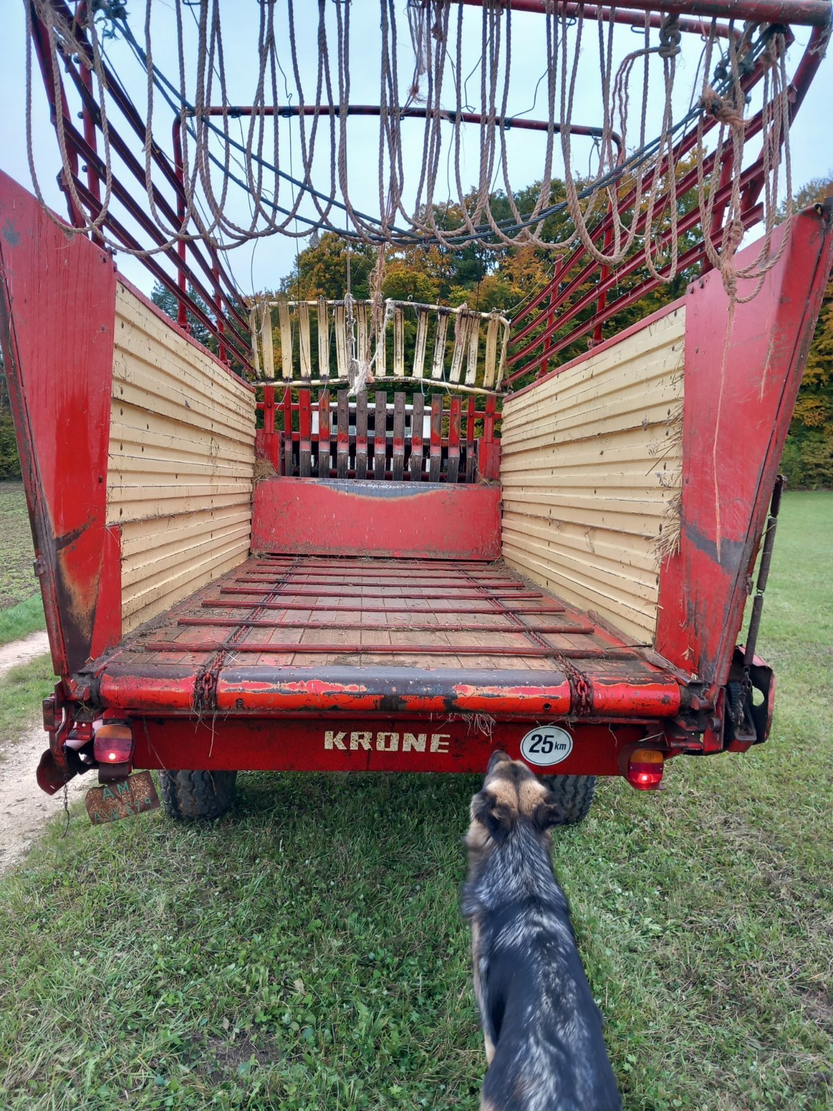 Ladewagen типа Krone SW 4001, Gebrauchtmaschine в Illschwang  (Фотография 2)